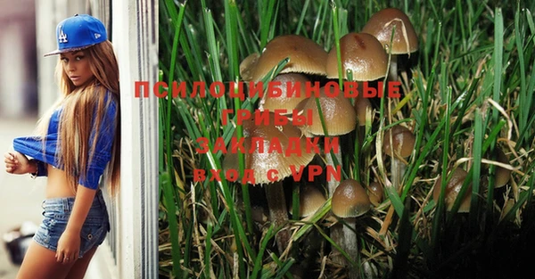 ешки Семёнов