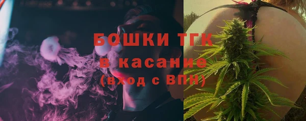 ГАЛЛЮЦИНОГЕННЫЕ ГРИБЫ Балахна