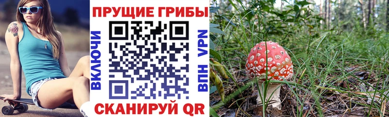 Псилоцибиновые грибы ЛСД  Дыгулыбгей 
